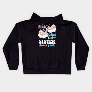 Pink or Blue Sister Loves You Baby Gender Reveal Groovy Kids Hoodie